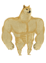 swole-doge-template
