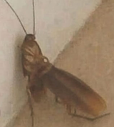 1703901674614