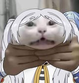 katto