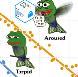 arowzd