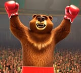 bearChadBoxer
