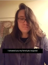 ferret