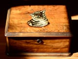CatBox