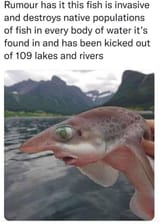 1674021073415785