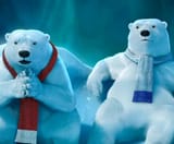 Coca Cola Bears are Concerned