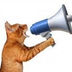 cat megaphone