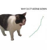 Thread 60679013 OP Image