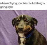 1460708494612