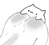 bongo
