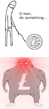 1667444550366332