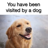 1488830288457
