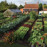 most-beautiful-vegetable-gardens-31-decorewarding-9597