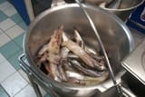 feedingbucket_w