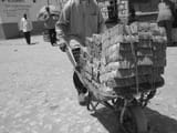 somali_wheelbarrow