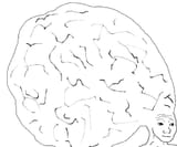 1742867198856089