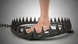 bear trap