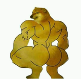 4987941561946