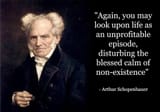 schopenhauer-quote-v0-qdvk7d63fkwd1