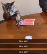 1742905092927169