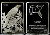 Franklin_State_FL_BirdFlower