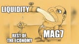 mag7