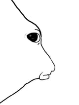 1746306733053213
