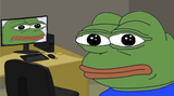 frog on the computer