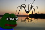 23968 - arm bug crossed_arms foot frog glasses hand irl irl_background pepe sitting smile soyjak spider stubble sunset variant_wholesome