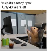 1731368001636210