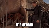 itsafraid