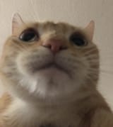 1736885066872061