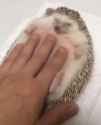 1624336736926_thumb.jpg