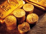 gold-007-2037640039