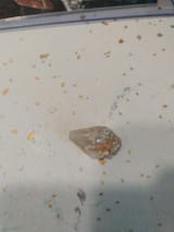 IMG_20250805_172649