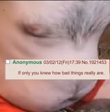 1708113035891876