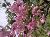 IMG_5048