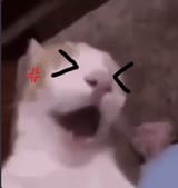 1745603804055249