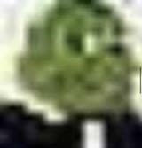 Thread 60752810 OP Image
