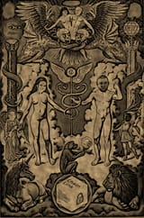 1560472158332