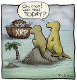 xrp flood