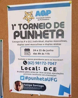 punhbrasil