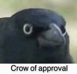 1748638801236026