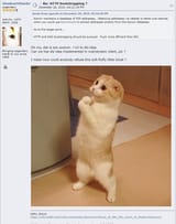 Thread 60758893 OP Image