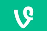 vine_TA