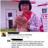 Asians