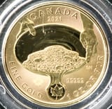 CND_Klondike1_Panning_f