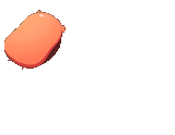 rolling_and_transparent_hamster
