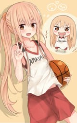 Nugget Basketball Association