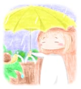 umbrella