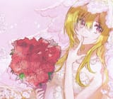 944c6b8cc354dcbf286dd5245b